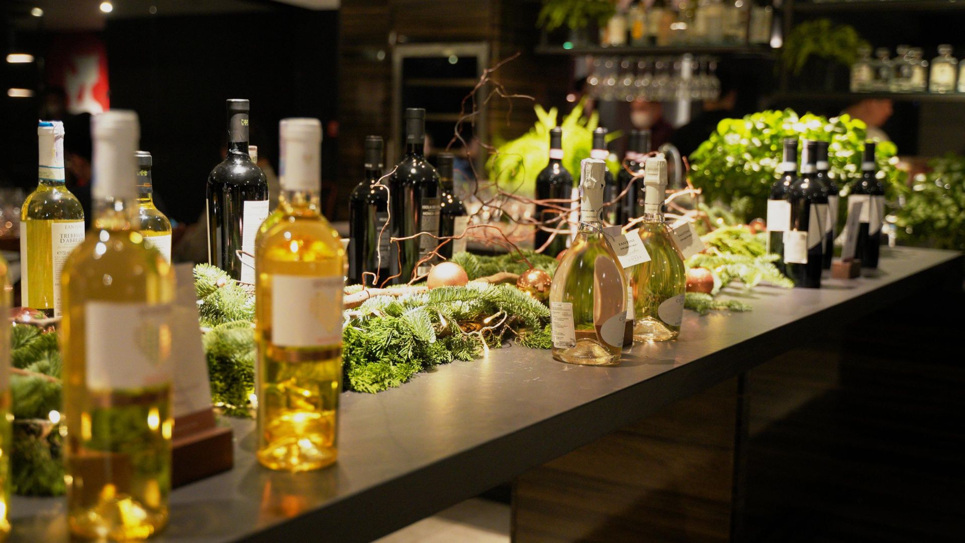 MODENA Kembali Hadirkan Seri Wine Cooler di Suasana Liburan